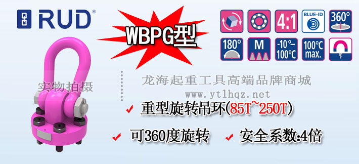 WBPG型路德螺栓型旋轉吊環(huán)